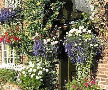 The Alvanley Arms - Inn Cotebrook المظهر الخارجي الصورة
